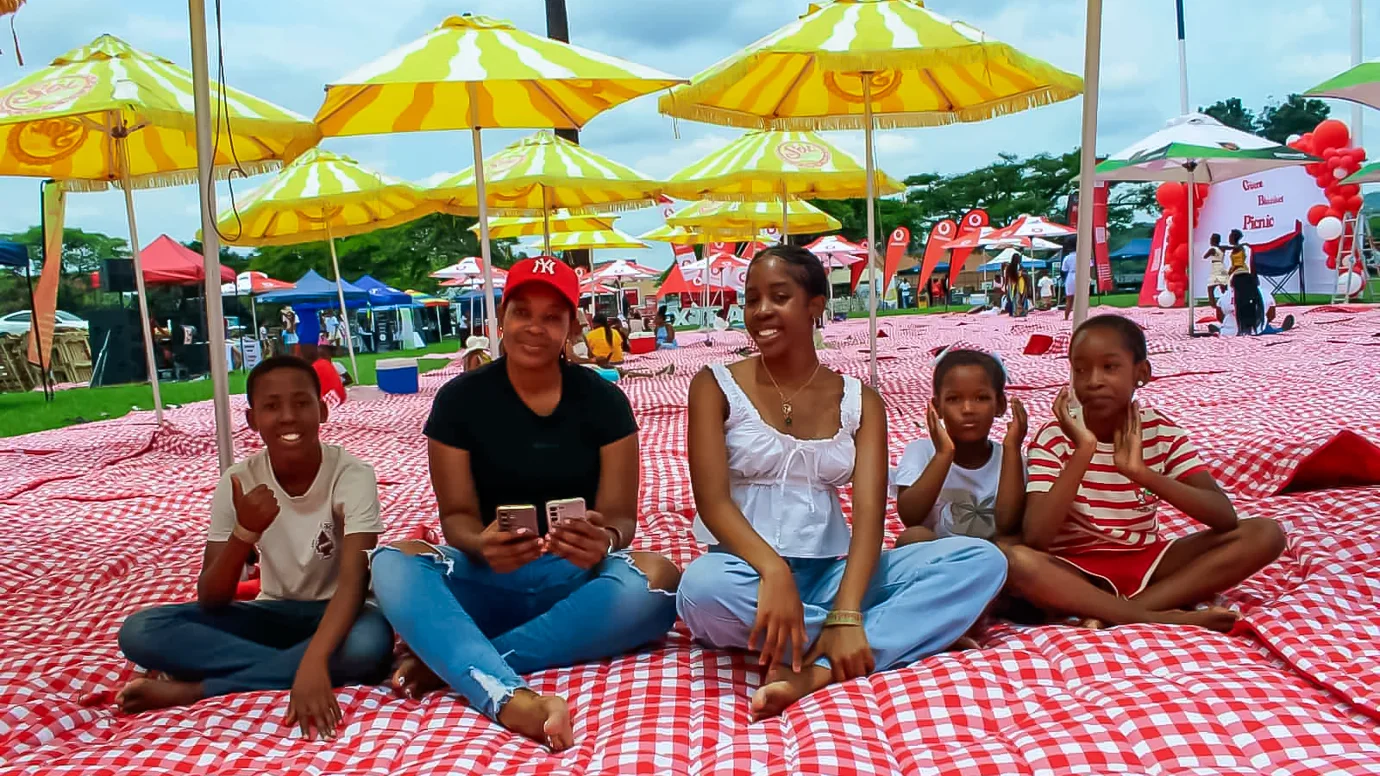 Giant Blanket Picnic Giant Blanket Picnic