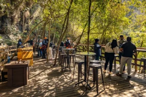 Graskop Gorge Lift Company